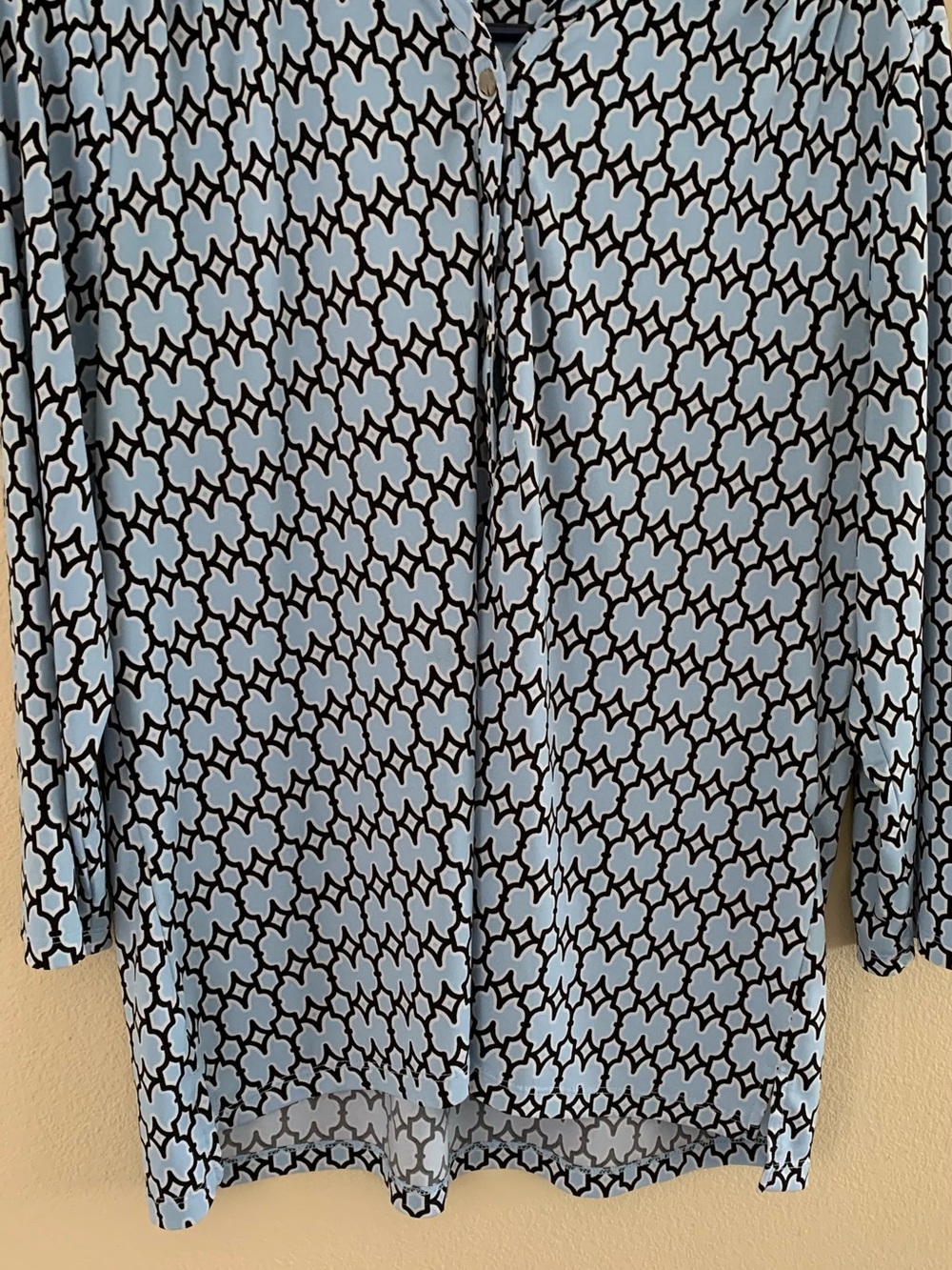 Dana Buchman Light Blue & Black Geometric Button-Front Blouse